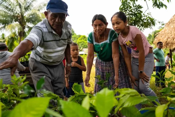 Riforestare per resistere in Guatemala